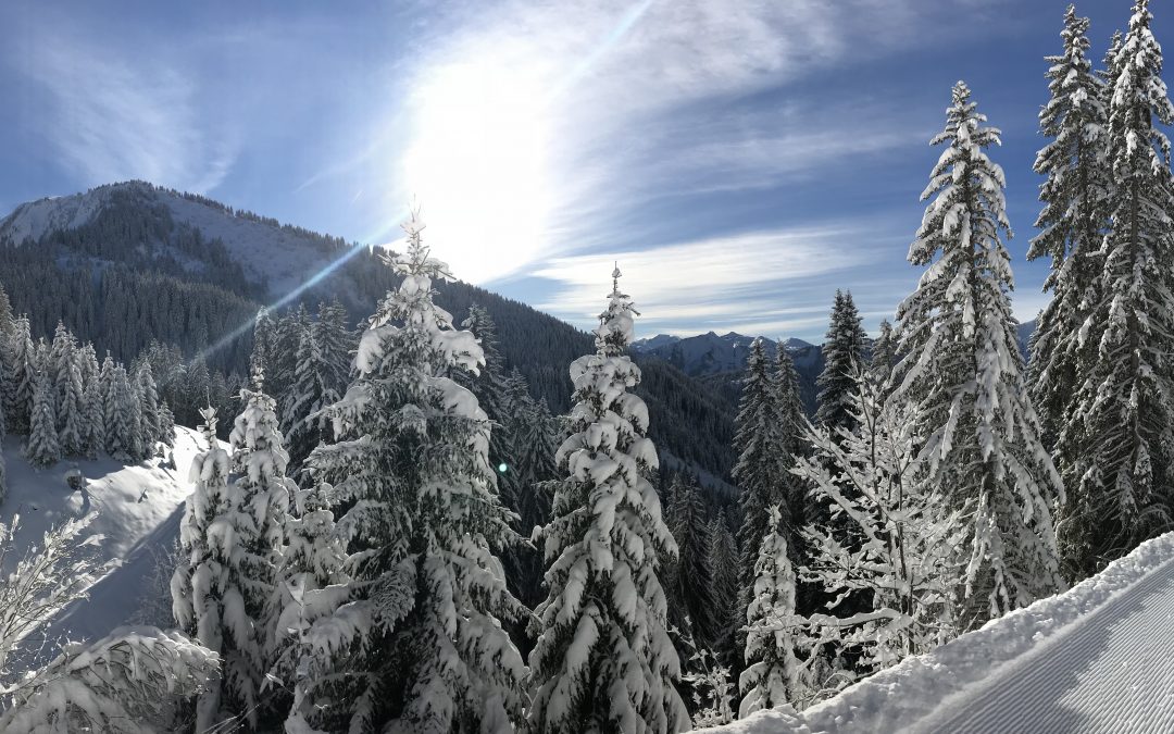 De la neige fraîche dans les PDS